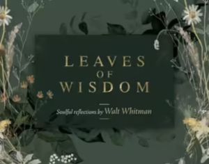 Leaves of Wisdom cards - Reflections by Walt Whitman - IC