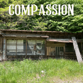 The Importance of Compassion – A Spiritual Perspective