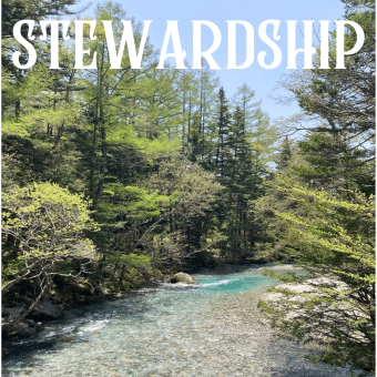The Importance of Environmental Stewardship – A Spiritual Perspective