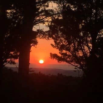 Here we are…Living 2026! How will it unfold?