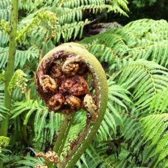 Acceptance as our Guide